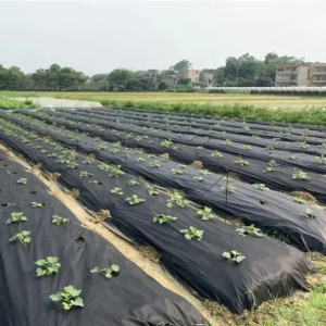 weed control fabric