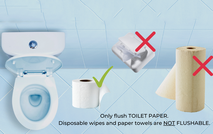 flushable toilet wipes for adults